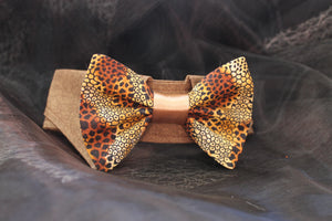 George - Dog Shirt Collar and Bow Tie