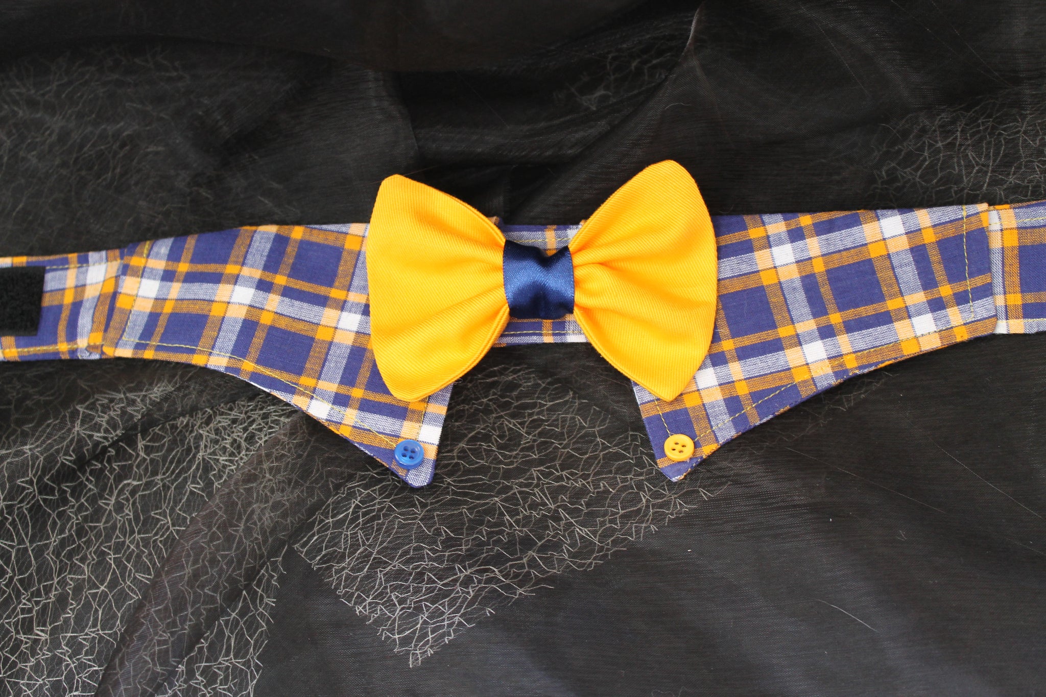 Clueless - Shirt Collar and Bow Tie